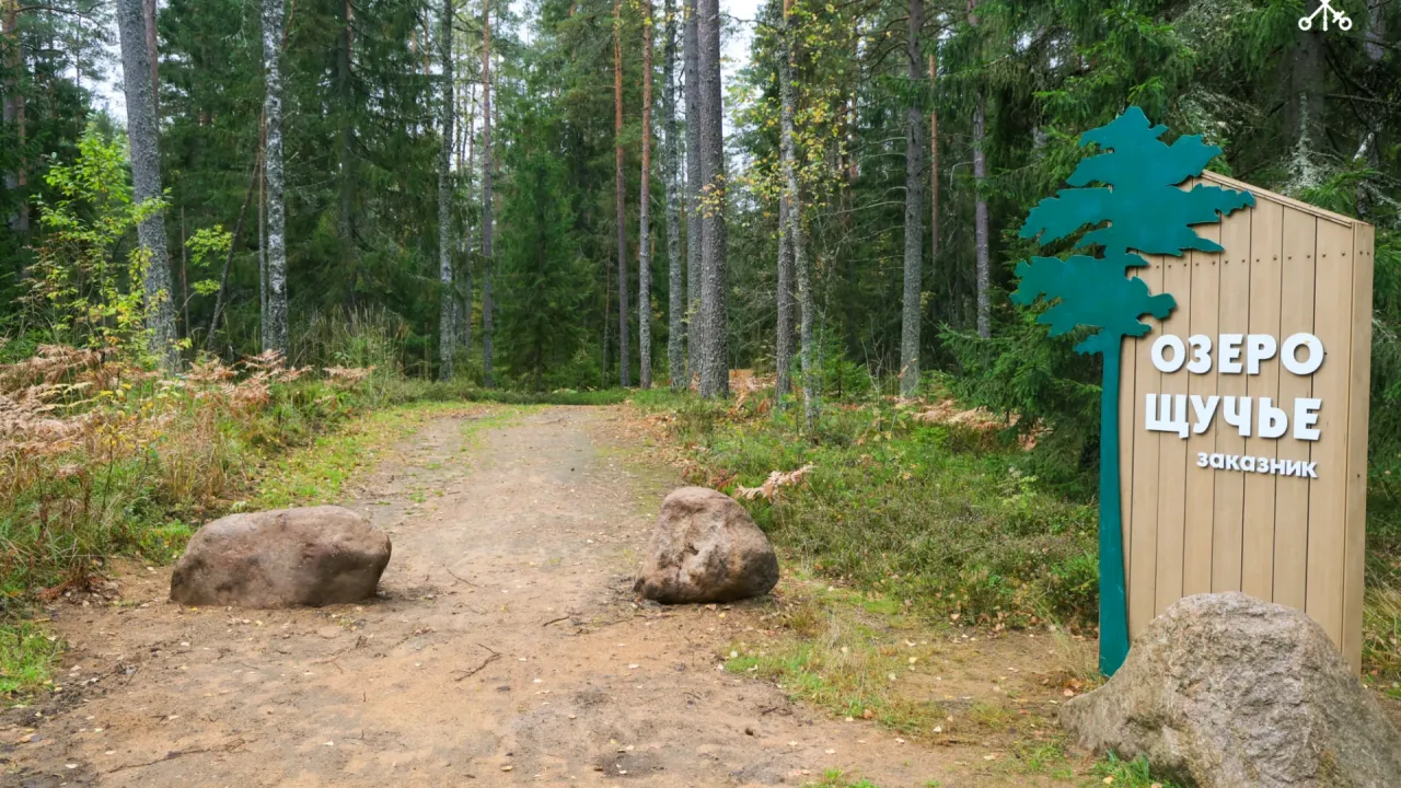 В Курортном районе открыли 14-километровый участок экотропы «Озёрная тропа»