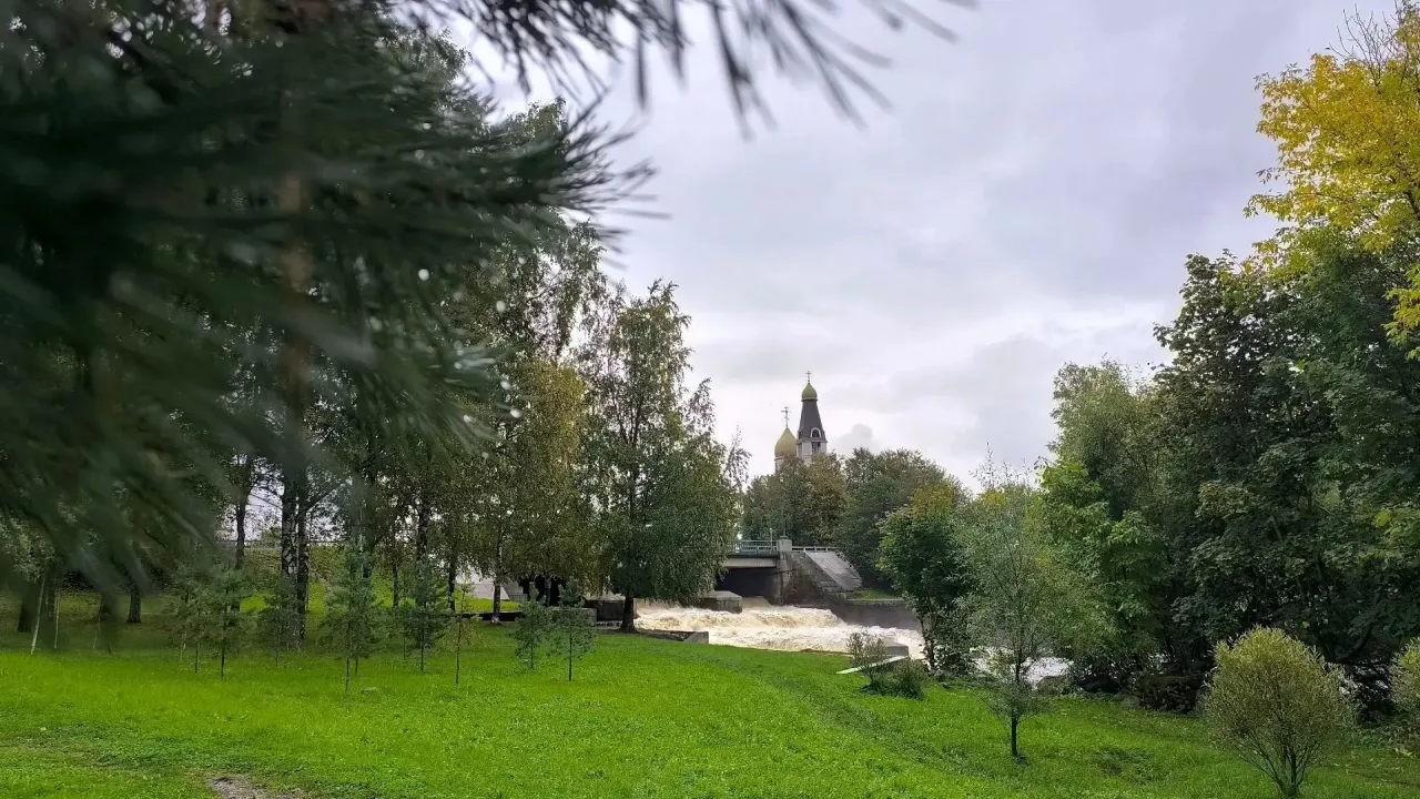 Скверу в Сестрорецке присвоят имя Людмилы Чурсиной