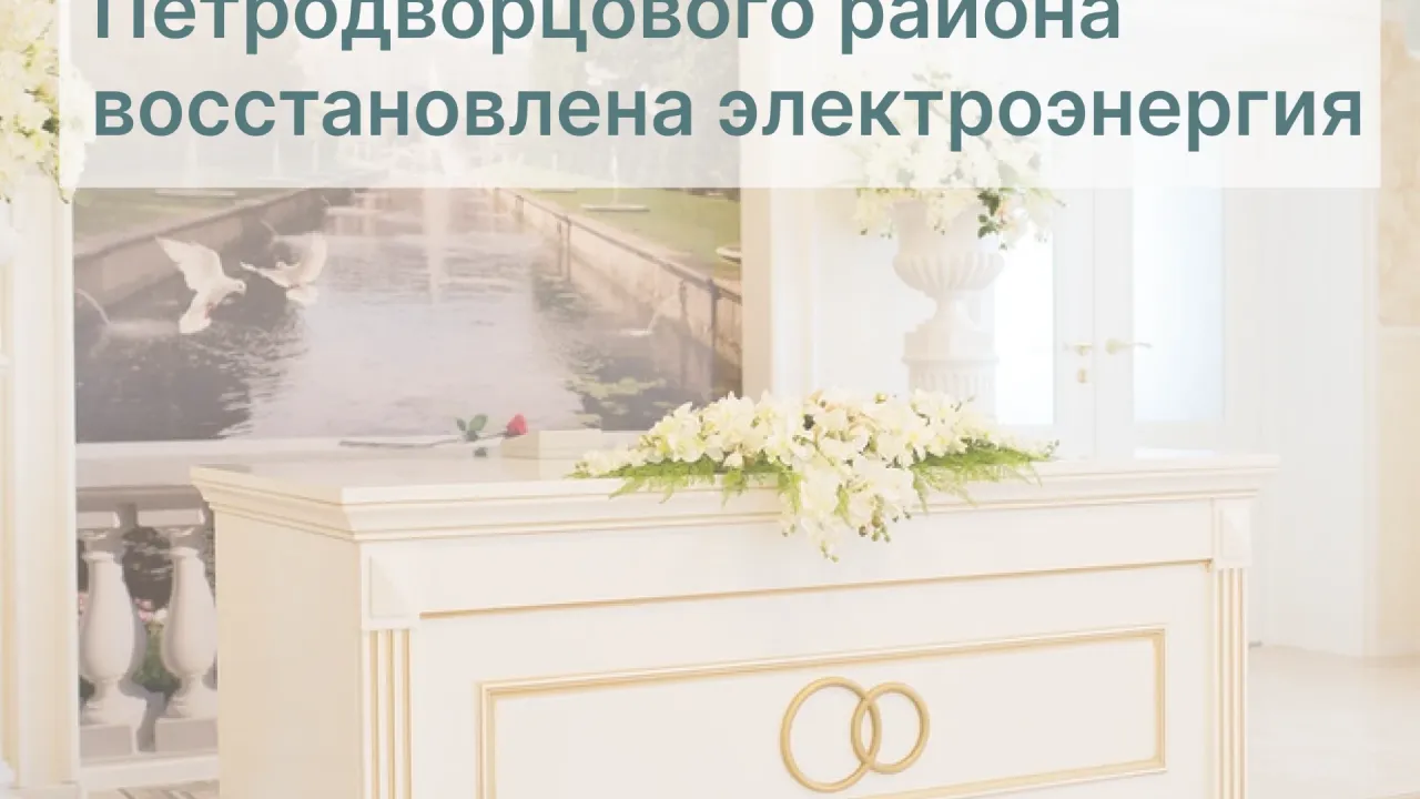 В Отделе-дворце Петродворцового района восстановили электроснабжение — Санкт-Петербург Сейчас