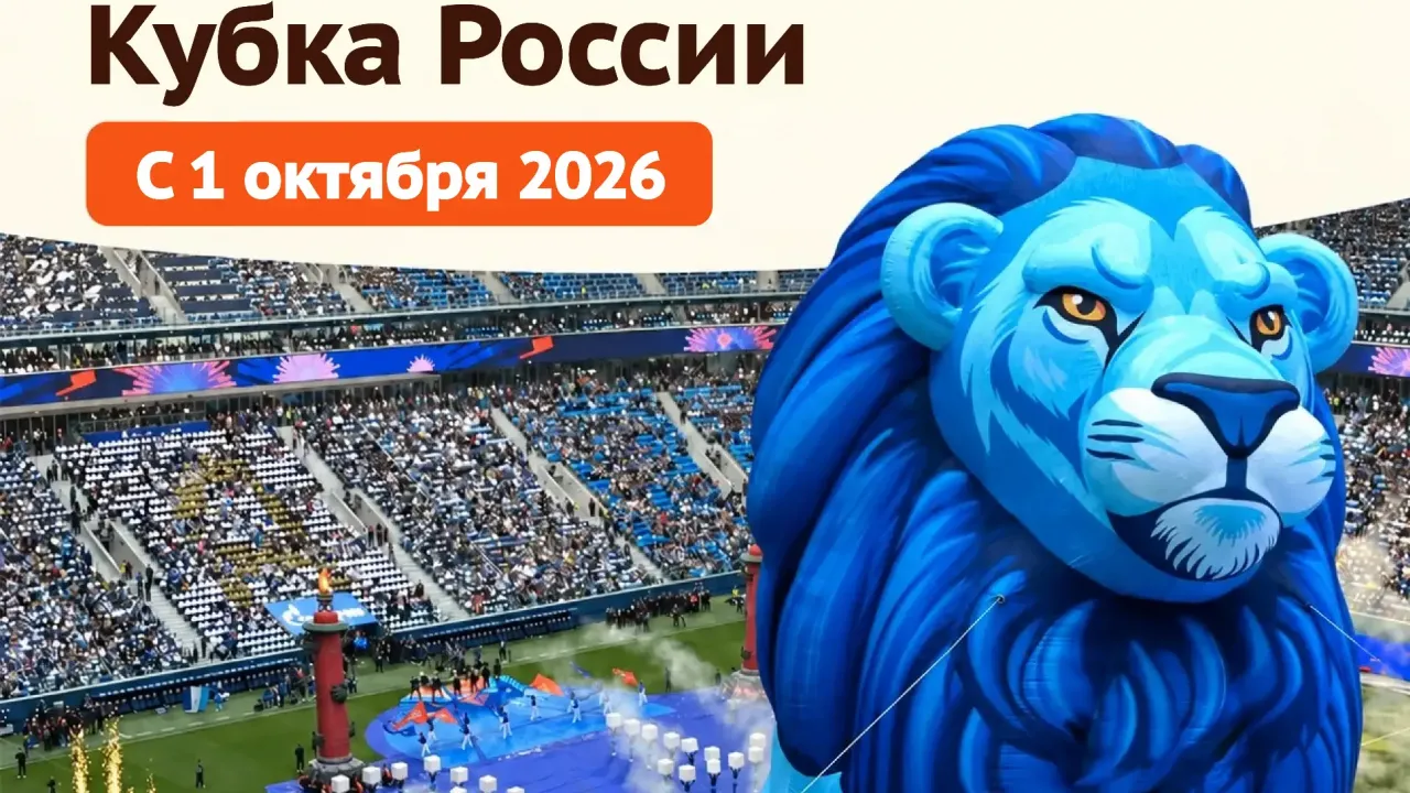 МФЦ Санкт-Петербурга оформили 80 тысяч карт болельщика с начала года — Санкт-Петербург Сейчас