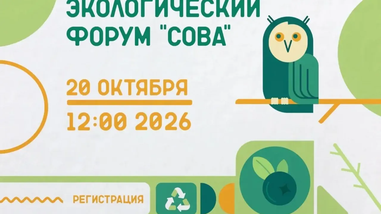 Форум «СОВА» пройдет 20 октября в Доме молодёжи «Царскосельский» — Санкт-Петербург Сейчас