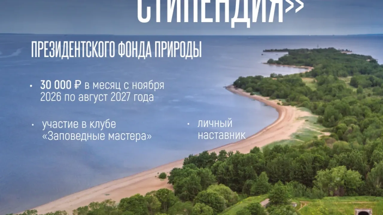 В Петербурге объявили конкурс на «Заповедную стипендию» для студентов — Санкт-Петербург Сейчас