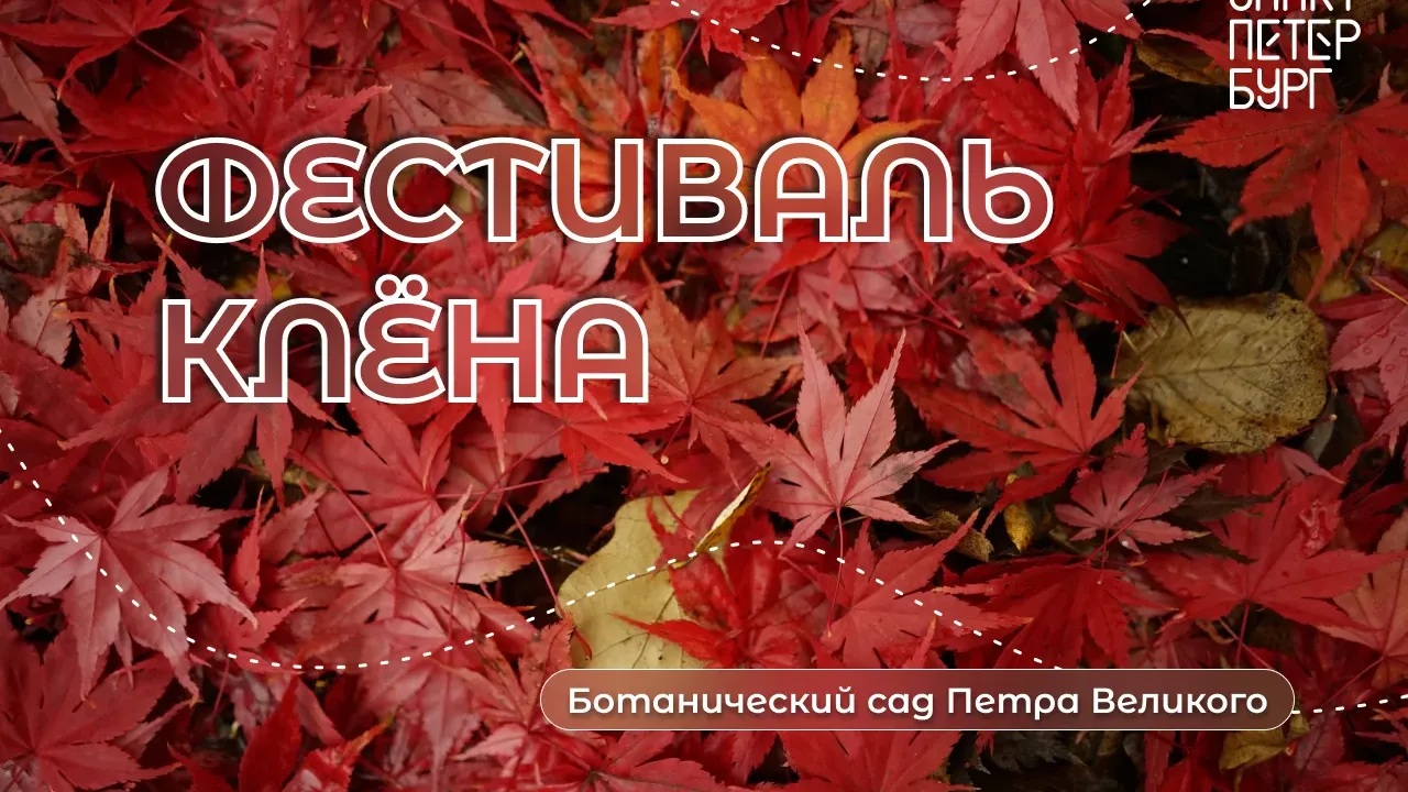 В Ботаническом саду пройдет Фестиваль клёна — Санкт-Петербург Сейчас