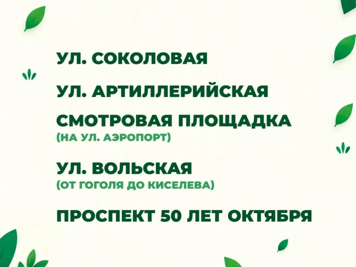 В Саратове осенью высадят около 300 новых деревьев