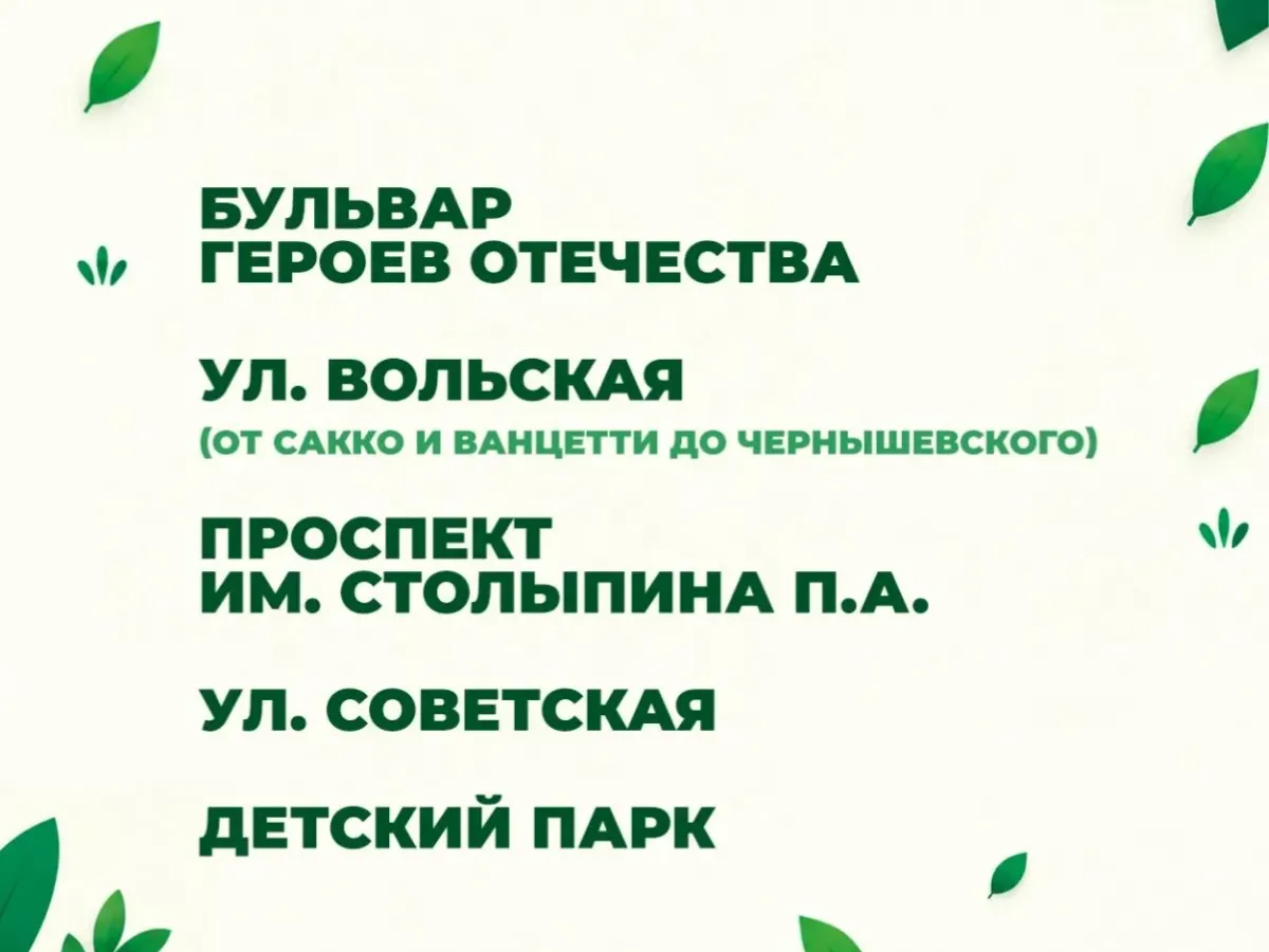 В Саратове осенью высадят около 300 новых деревьев