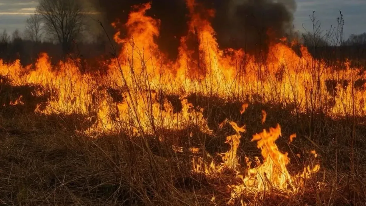 В Саратовской области за два дня зарегистрировали 76 пожаров