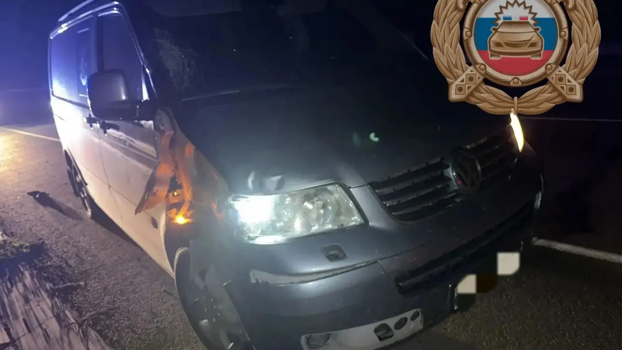 В Аткарском районе полицейские устанавливают обстоятельства смертельного ДТП с пешеходом — Саратов Сейчас