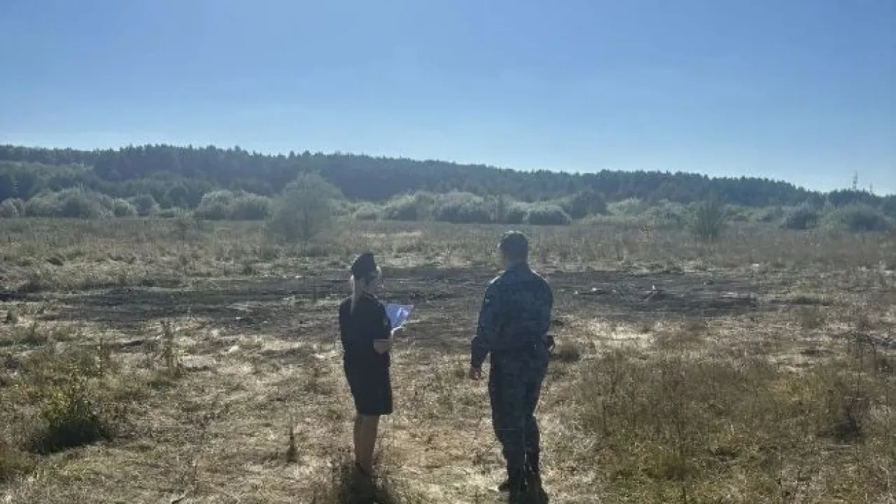 В Петровске приставы добились ликвидации несанкционированной свалки — Саратов Сейчас