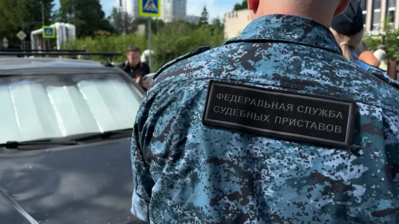 Житель Красноармейска выплатил уголовный штраф после вмешательства приставов — Саратов Сейчас