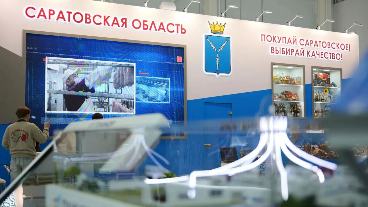На «Золотой осени» подписали соглашения о новых агропроектах в регионе — Саратов Сейчас