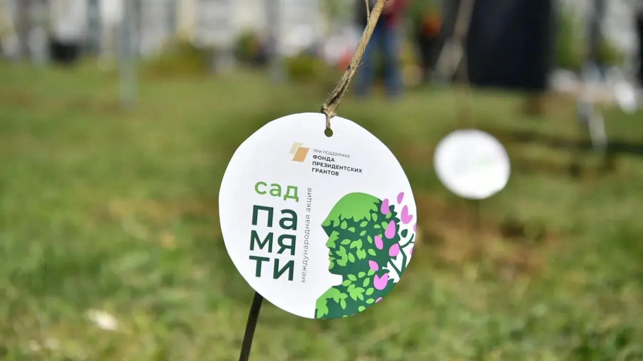 В Саратовской области осенью высадят леса на 1,3 тысячи гектаров — Саратов Сейчас
