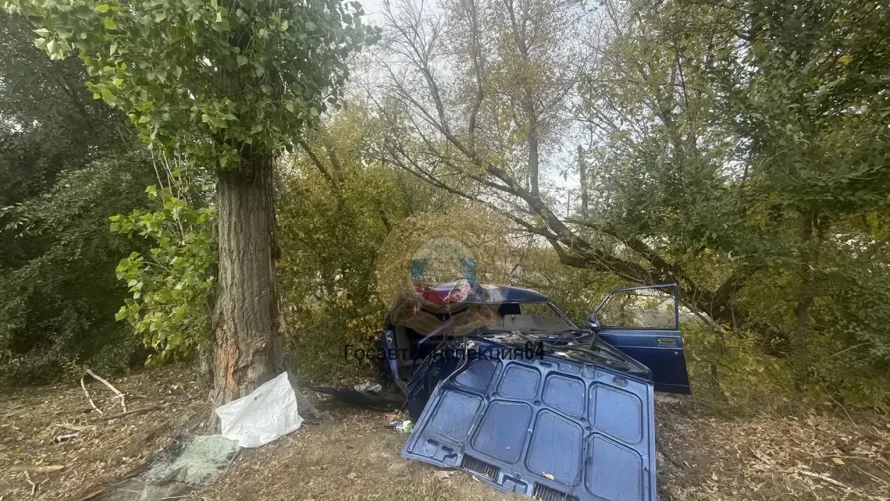 В Саратове водитель ВАЗ-2107 погиб после наезда на дерево — Саратов Сейчас