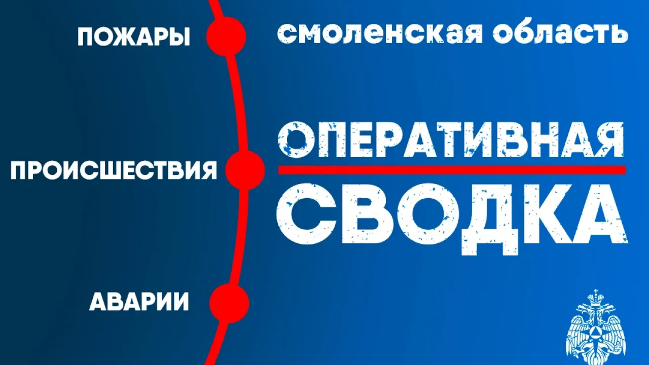 В Смоленской области за сутки ликвидировали три пожара и выезжали на два ДТП — Смоленск Сейчас