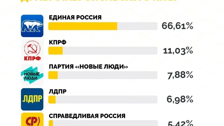 Около 81% ставропольцев приняли участие в выборах — Ставрополь Сейчас