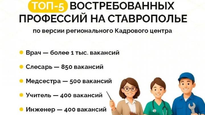 Более 12 тысяч вакансий открыто на портале «Работа России» на Ставрополье — Ставрополь Сейчас