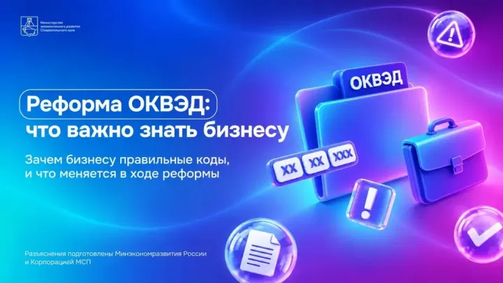 Минэкономразвития рассказало о реформе кодов ОКВЭД для бизнеса — Ставрополь Сейчас