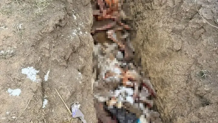 В Кировском округе дело о мошенничестве и захоронении отходов передали в суд — Ставрополь Сейчас