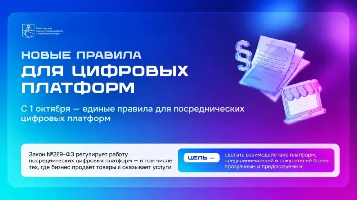 Вступил в силу закон о платформенной экономике для маркетплейсов — Ставрополь Сейчас