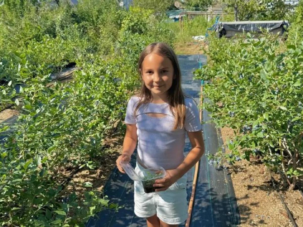 Семья Малаховых из Лермонтова развила ягодное хозяйство благодаря соцконтракту