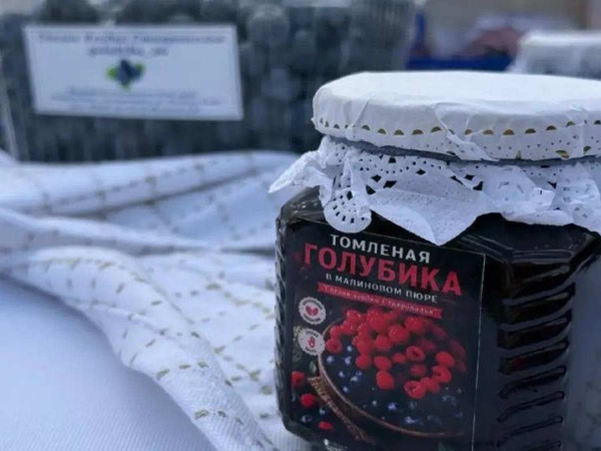 Семья Малаховых из Лермонтова развила ягодное хозяйство благодаря соцконтракту