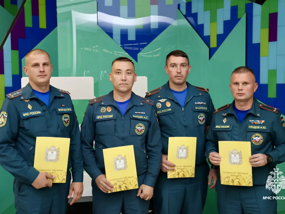 Сотрудников МЧС Ставрополья наградили за ликвидацию крупного возгорания