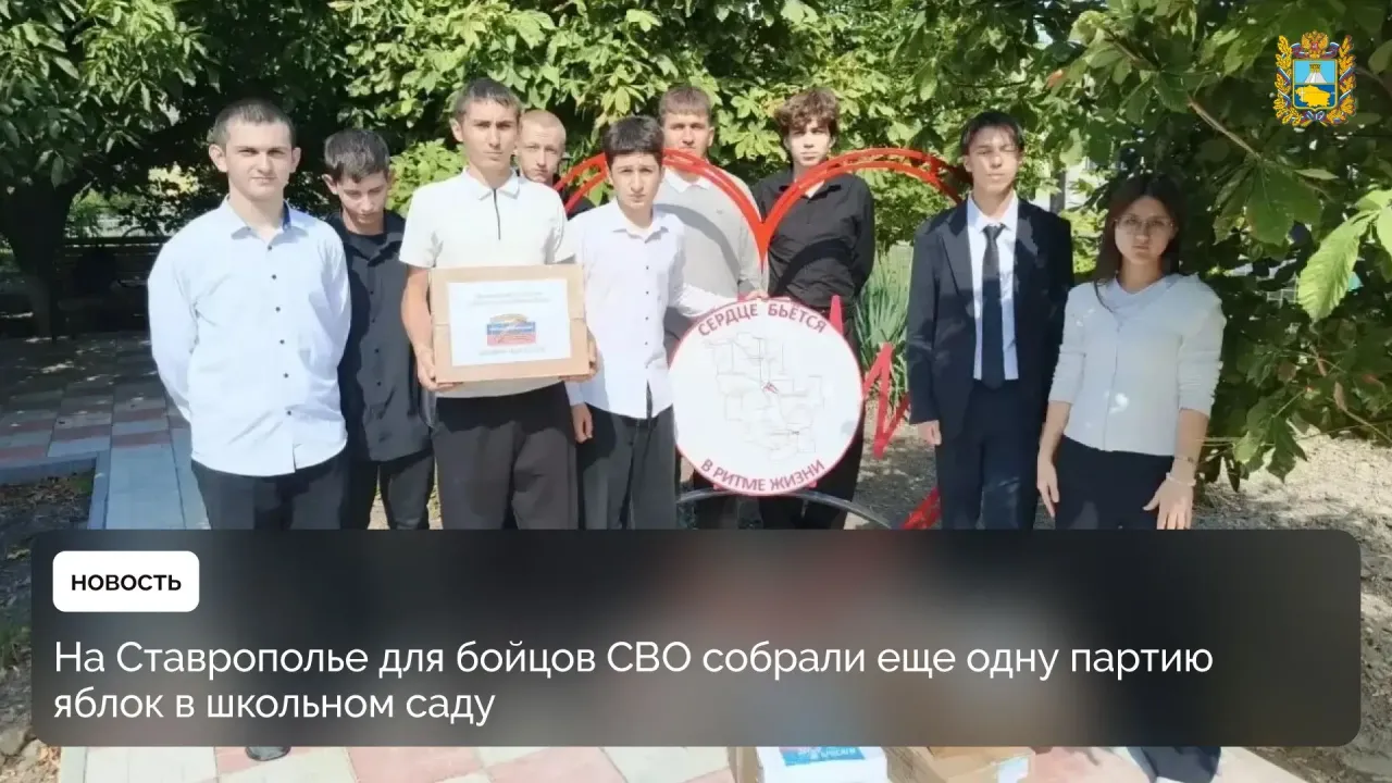 В школе села Гофицкого собрали первый урожай из школьного сада — Ставрополь Сейчас