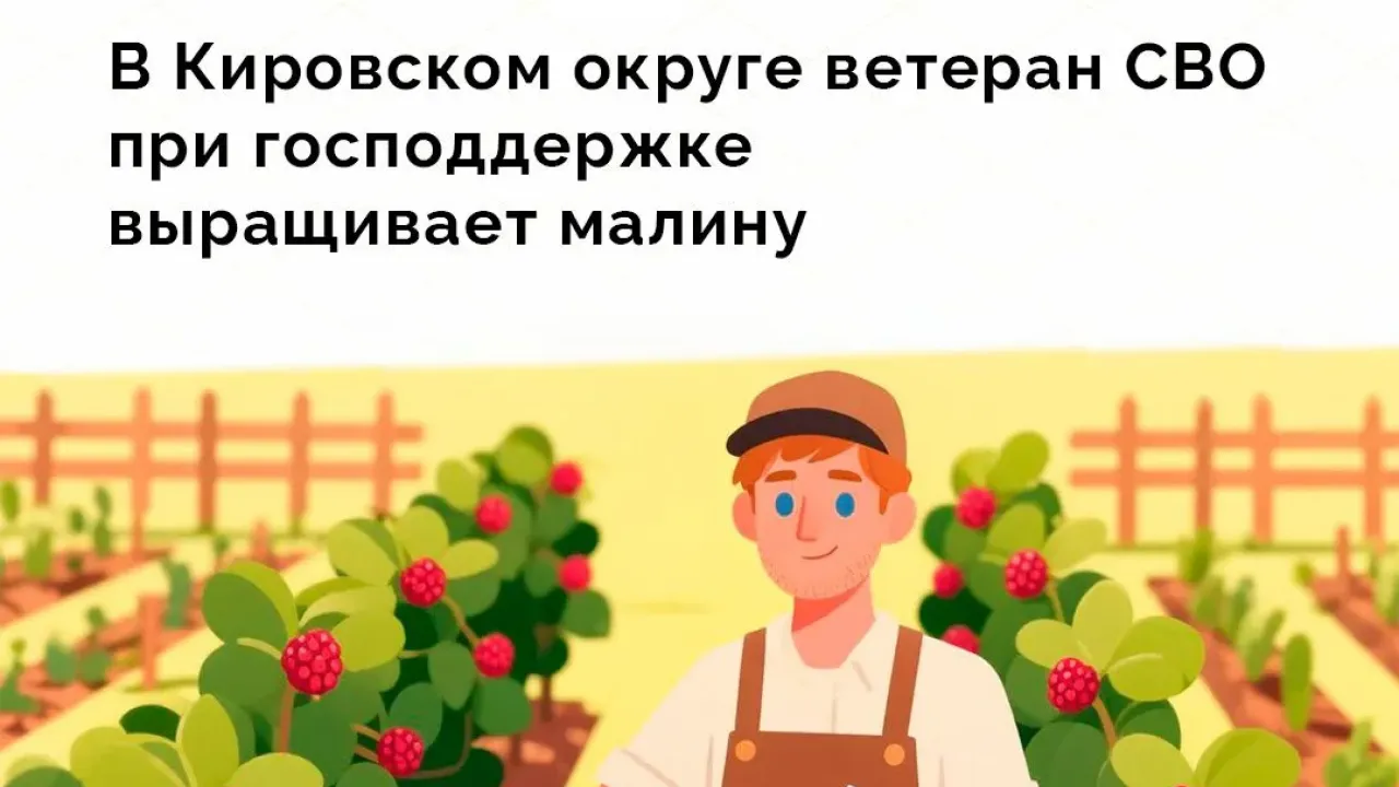 Участник спецоперации из Кировского округа вырастил малину по соцконтракту — Ставрополь Сейчас