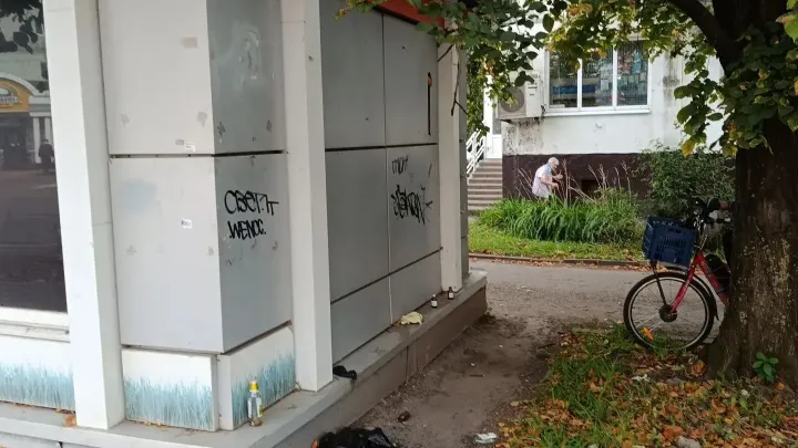 В Тамбове началась плановая инвентаризация нестационарных торговых объектов — Тамбов Сейчас