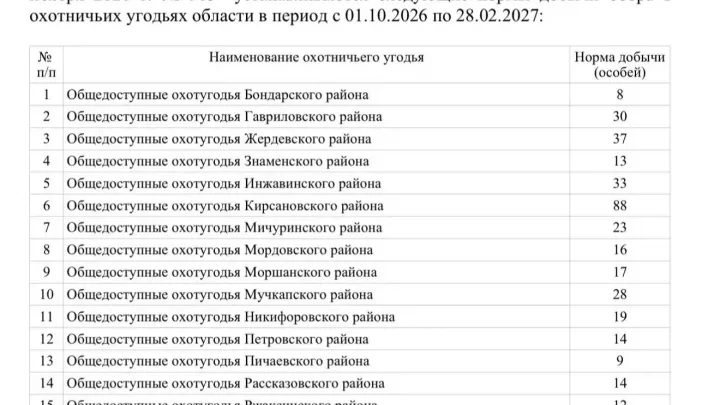 С 11 сентября начнется прием заявлений на добычу бобра и куницы в Тамбовской области — Тамбов Сейчас