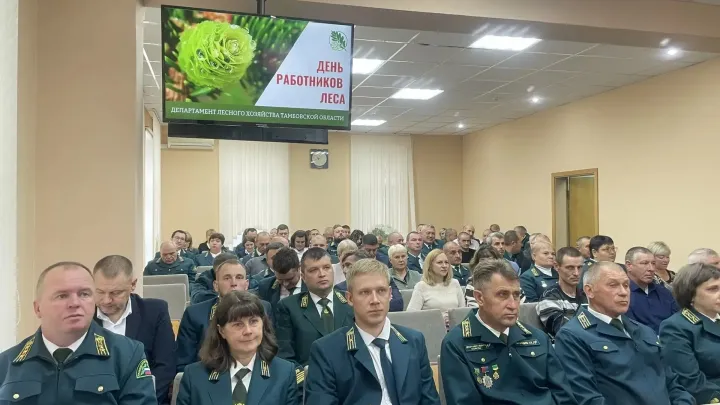 В Тамбовской области подвели итоги работы лесной отрасли за восемь месяцев — Тамбов Сейчас