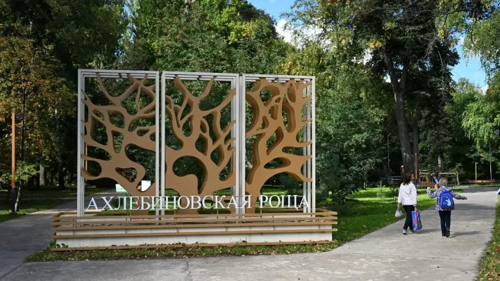 Главные события недели в Тамбове: от открытия центра до благоустройства Студенца — Тамбов Сейчас