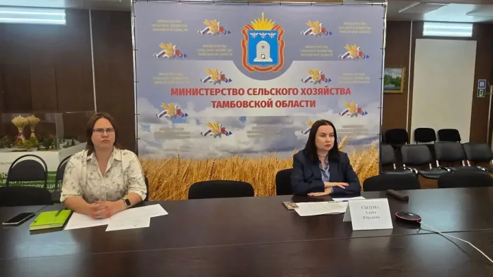 В Тамбовской области продолжается сев озимых культур под урожай 2027 года — Тамбов Сейчас