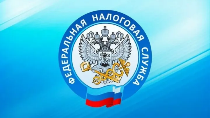 Тамбовчанам изменили порядок получения налоговых уведомлений через Госуслуги — Тамбов Сейчас