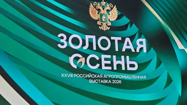 На «Золотой осени – 2026» обсудили технологии эффективного роста в АПК — Тамбов Сейчас