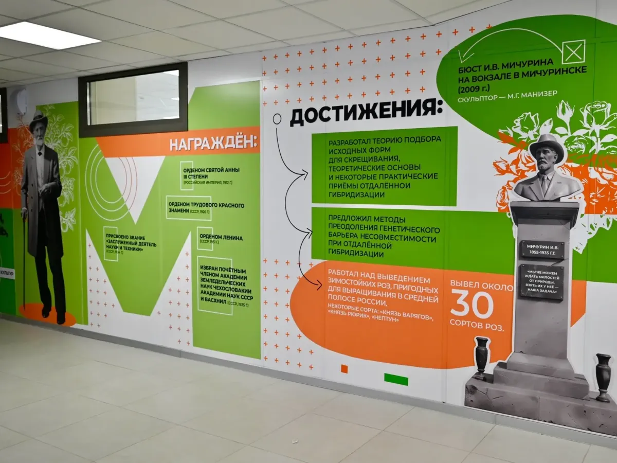 В Бокино по нацпроекту открыли новую школу на 1100 мест
