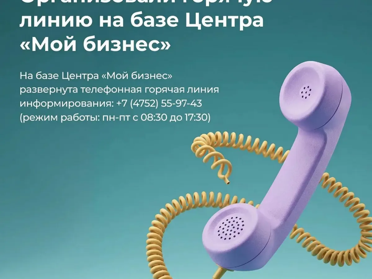 В Тамбовской области запустили пакет мер поддержки «Бизнес-солидарность»