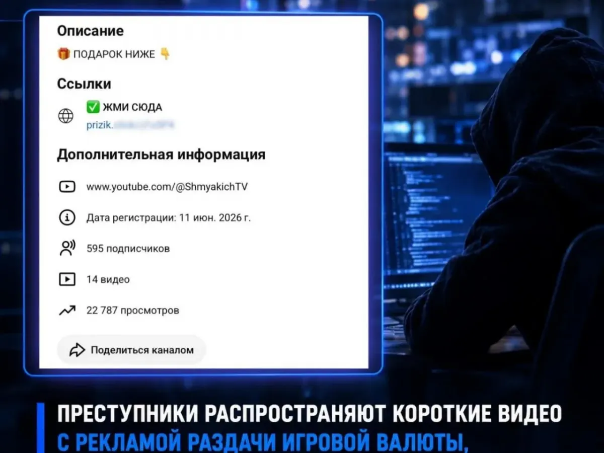 В Тамбове предупредили о схеме мошенников с игровой валютой