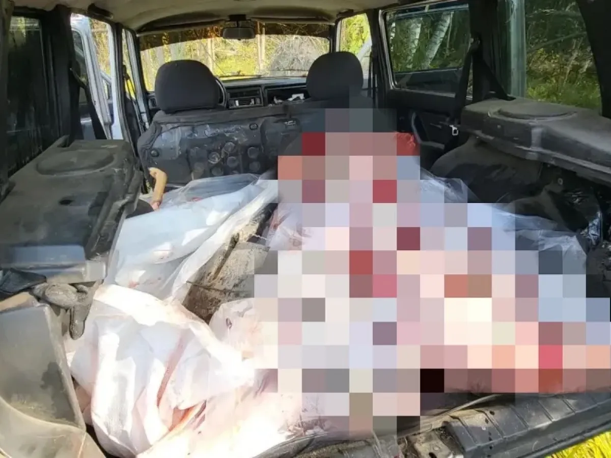 В Тамбовском округе задержали браконьеров