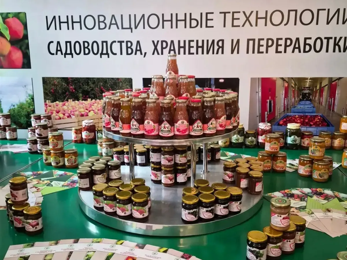 В Мичуринске обсудили инновации для развития садоводства