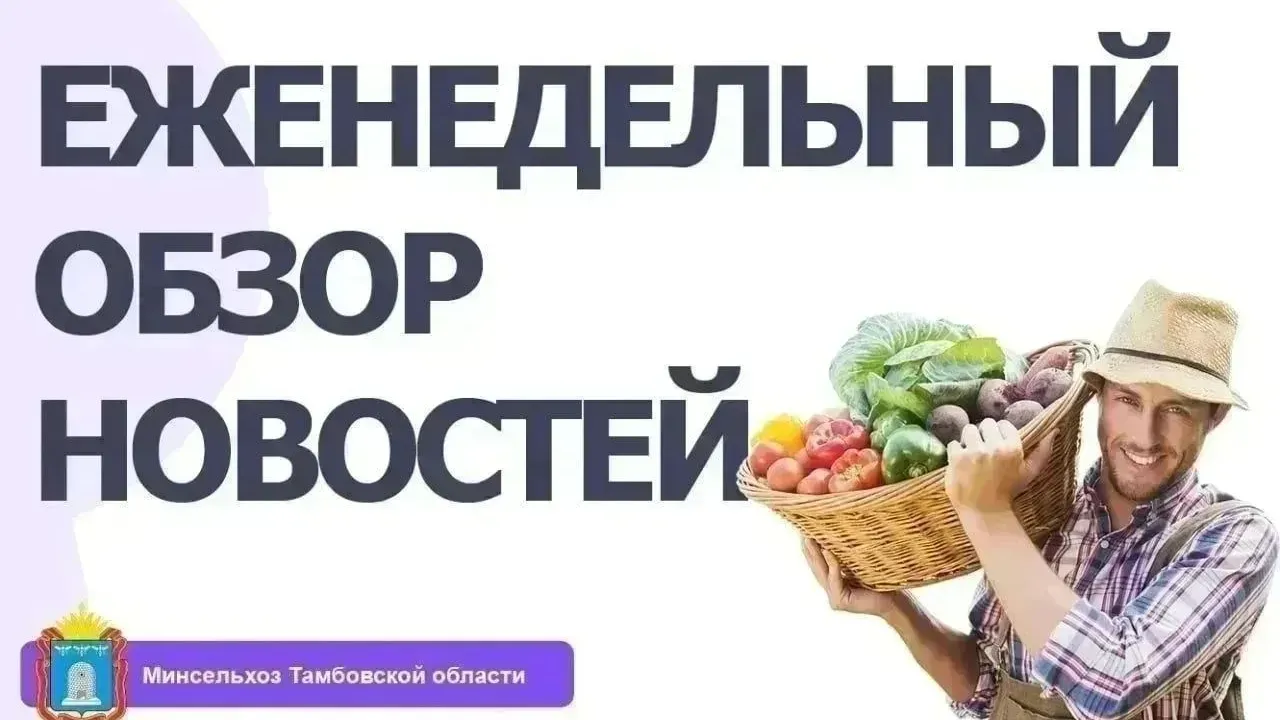Обзор новостей агропромышленного комплекса Тамбовской области за 24–30 августа 2026 года — Тамбов Сейчас