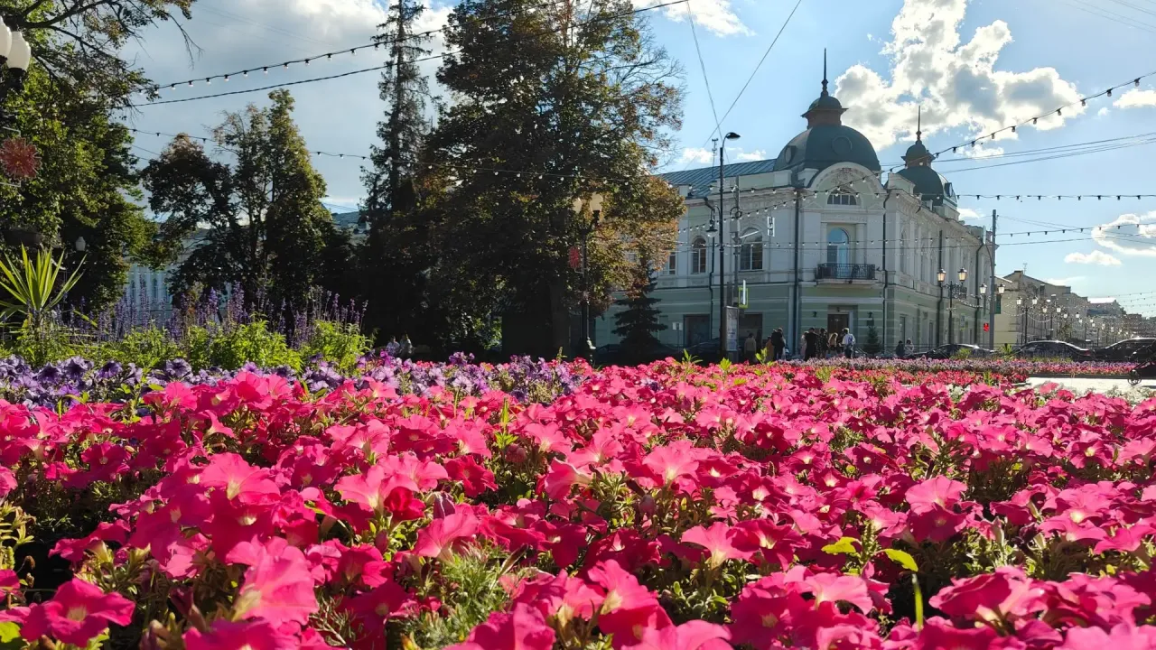 В Тамбове 31 августа проведут плановую уборку и опиловку деревьев — Тамбов Сейчас