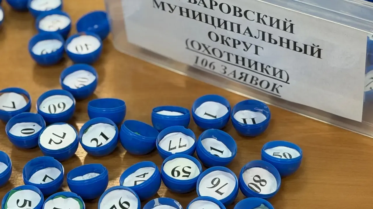 В Тамбовской области подготовили перечень охотников для распределения разрешений на добычу лося и косули — Тамбов Сейчас