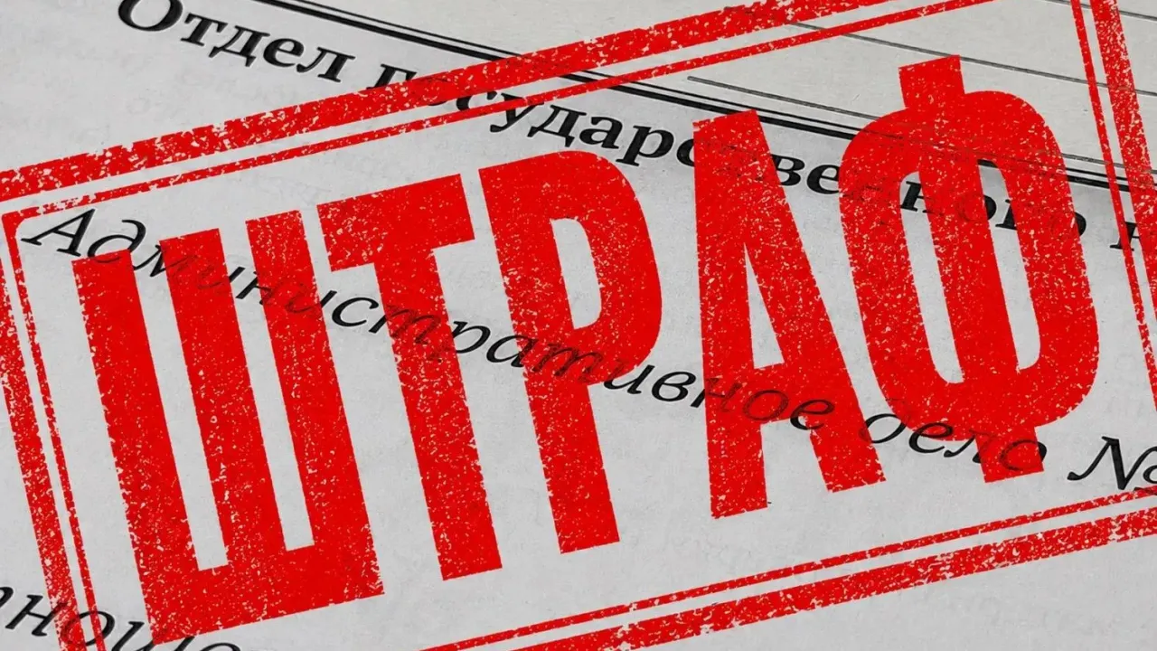 В районе СНТ «Цна» нарушителя оштрафовали за сброс растительных отходов — Тамбов Сейчас