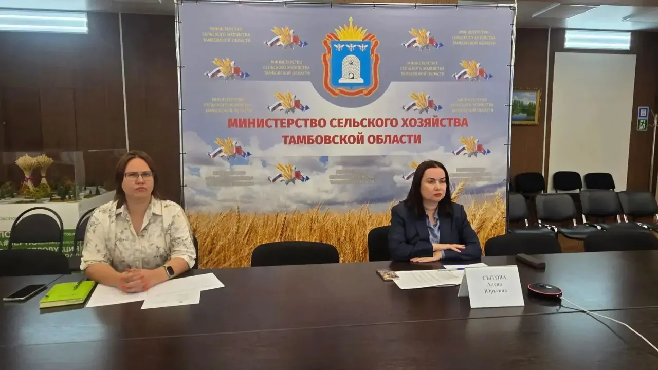 В Тамбовской области продолжается сев озимых культур под урожай 2027 года — Тамбов Сейчас