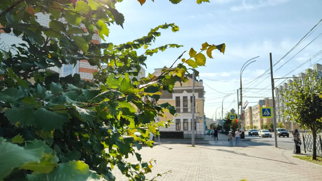 В Тамбове сегодня: прогноз погоды, дорожные работы и встречи с жителями — Тамбов Сейчас