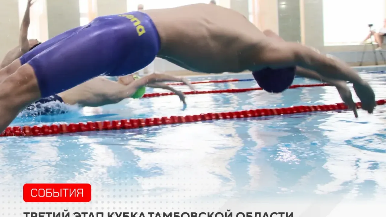 В Тамбове стартовал заключительный этап Кубка области по плаванию — Тамбов Сейчас