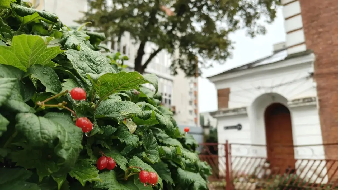 В Тамбове запланировали дорожные работы, уборку улиц и инженерные каникулы — Тамбов Сейчас