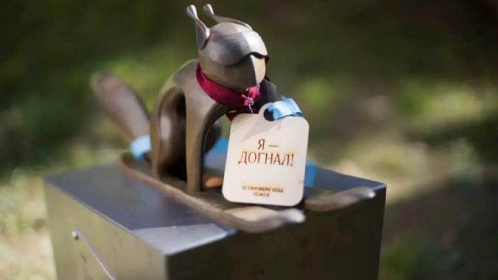 Более 700 томичей приняли участие в беговом фестивале «Догони белку» — Томск Сейчас