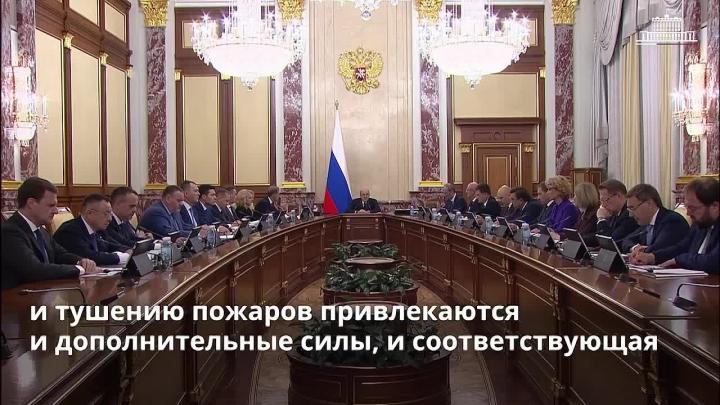 Томская область получит около 740 миллионов рублей на тушение лесных пожаров — Томск Сейчас
