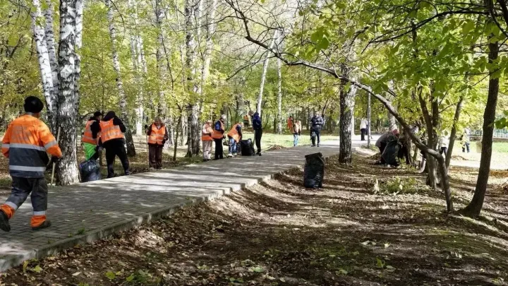 Дмитрий Махиня провел субботник в Михайловской роще — Томск Сейчас